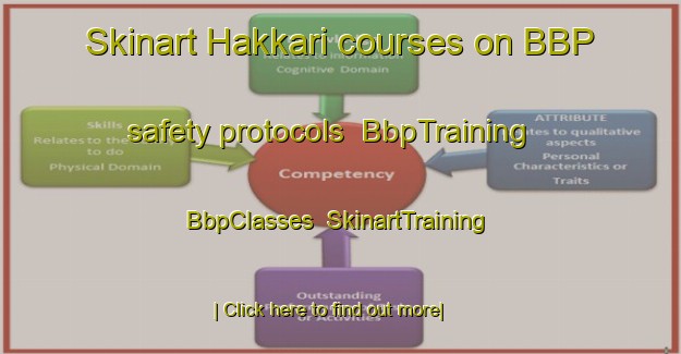 Skinart Hakkari courses on BBP safety protocols | BbpTraining | BbpClasses | SkinartTraining-Turkey