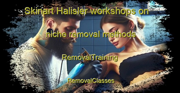 Skinart Halisler workshops on niche removal methods | RemovalTraining | RemovalClasses | SkinartTraining-Turkey