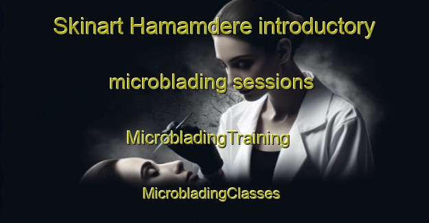 Skinart Hamamdere introductory microblading sessions | MicrobladingTraining | MicrobladingClasses | SkinartTraining-Turkey