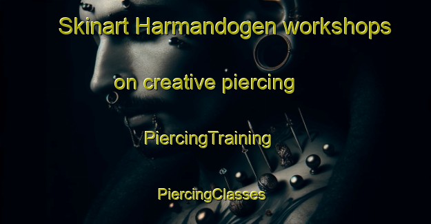 Skinart Harmandogen workshops on creative piercing | PiercingTraining | PiercingClasses | SkinartTraining-Turkey