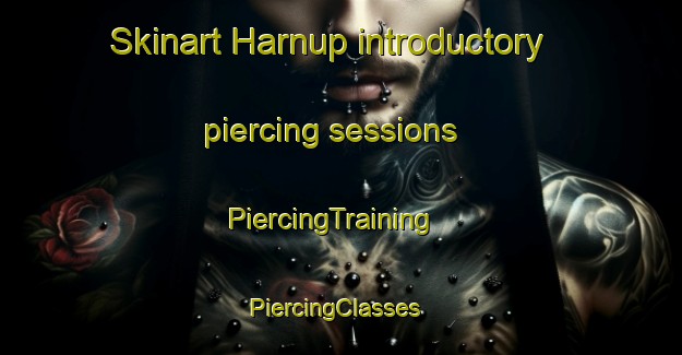 Skinart Harnup introductory piercing sessions | PiercingTraining | PiercingClasses | SkinartTraining-Turkey