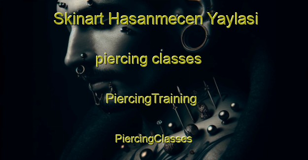 Skinart Hasanmecen Yaylasi piercing classes | #PiercingTraining #PiercingClasses #SkinartTraining-Turkey