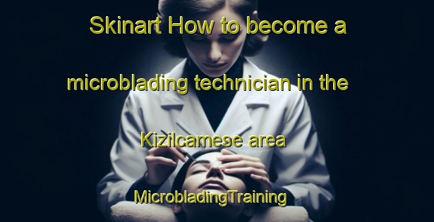 Skinart How to become a microblading technician in the Kizilcamese area | MicrobladingTraining | MicrobladingClasses | SkinartTraining-Turkey