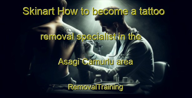 Skinart How to become a tattoo removal specialist in the Asagi Camurlu area | RemovalTraining | RemovalClasses | SkinartTraining-Turkey
