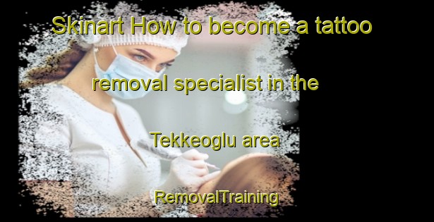 Skinart How to become a tattoo removal specialist in the Tekkeoglu area | RemovalTraining | RemovalClasses | SkinartTraining-Turkey