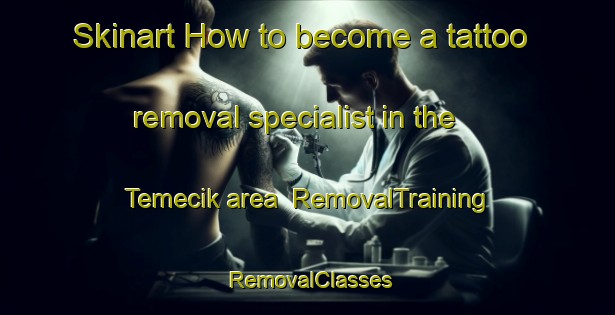 Skinart How to become a tattoo removal specialist in the Temecik area | RemovalTraining | RemovalClasses | SkinartTraining-Turkey