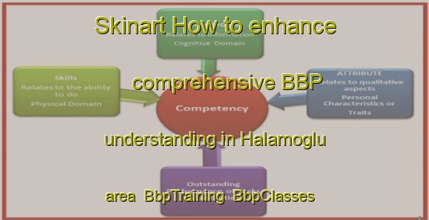 Skinart How to enhance comprehensive BBP understanding in Halamoglu area | BbpTraining | BbpClasses | SkinartTraining-Turkey