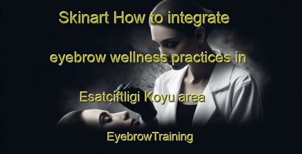 Skinart How to integrate eyebrow wellness practices in Esatciftligi Koyu area | EyebrowTraining | EyebrowClasses | SkinartTraining-Turkey