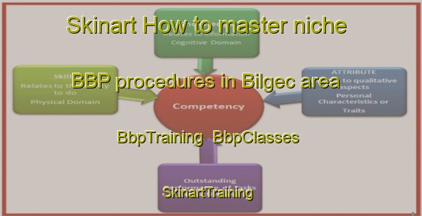 Skinart How to master niche BBP procedures in Bilgec area | BbpTraining | BbpClasses | SkinartTraining-Turkey