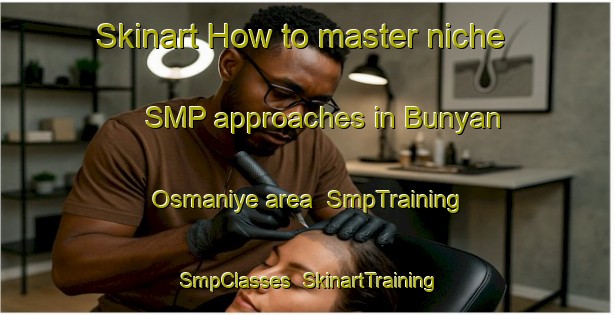 Skinart How to master niche SMP approaches in Bunyan Osmaniye area | SmpTraining | SmpClasses | SkinartTraining-Turkey