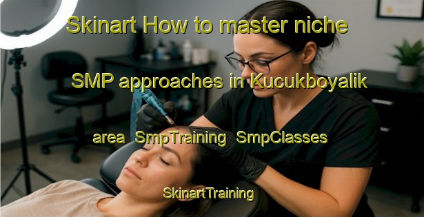 Skinart How to master niche SMP approaches in Kucukboyalik area | SmpTraining | SmpClasses | SkinartTraining-Turkey