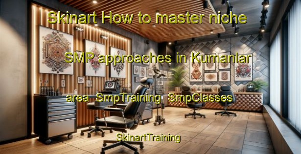 Skinart How to master niche SMP approaches in Kumanlar area | SmpTraining | SmpClasses | SkinartTraining-Turkey