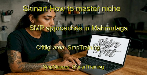 Skinart How to master niche SMP approaches in Mahmutaga Ciftligi area | SmpTraining | SmpClasses | SkinartTraining-Turkey