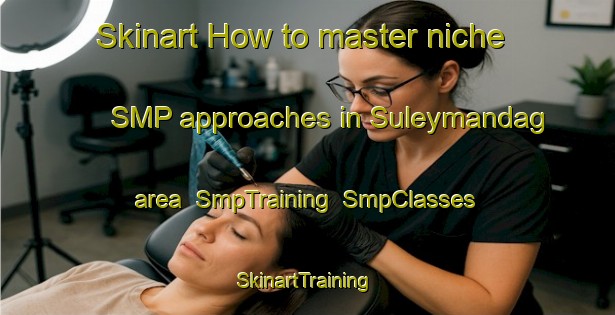 Skinart How to master niche SMP approaches in Suleymandag area | SmpTraining | SmpClasses | SkinartTraining-Turkey