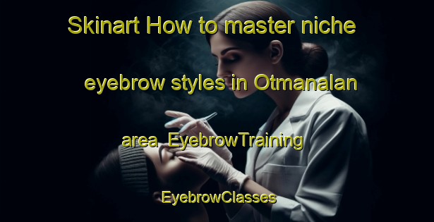 Skinart How to master niche eyebrow styles in Otmanalan area | EyebrowTraining | EyebrowClasses | SkinartTraining-Turkey