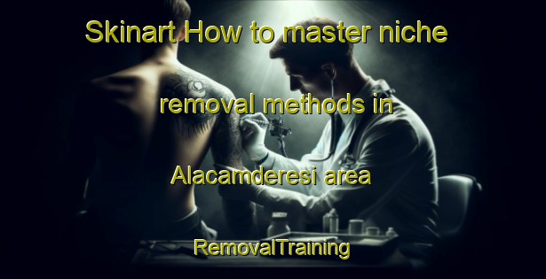 Skinart How to master niche removal methods in Alacamderesi area | RemovalTraining | RemovalClasses | SkinartTraining-Turkey