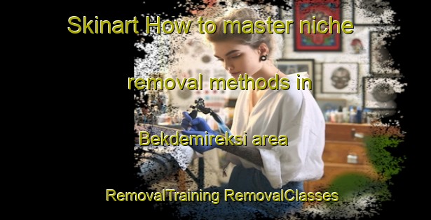 Skinart How to master niche removal methods in Bekdemireksi area | #RemovalTraining #RemovalClasses #SkinartTraining-Turkey