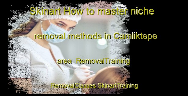 Skinart How to master niche removal methods in Camliktepe area | #RemovalTraining #RemovalClasses #SkinartTraining-Turkey