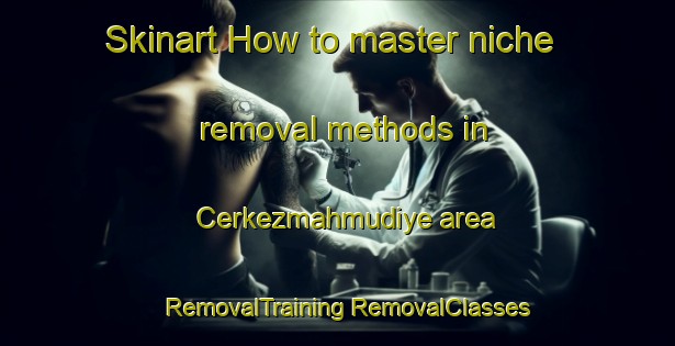 Skinart How to master niche removal methods in Cerkezmahmudiye area | #RemovalTraining #RemovalClasses #SkinartTraining-Turkey