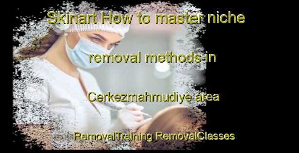 Skinart How to master niche removal methods in Cerkezmahmudiye area | #RemovalTraining #RemovalClasses #SkinartTraining-Turkey