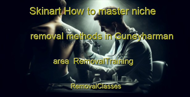 Skinart How to master niche removal methods in Guneyharman area | RemovalTraining | RemovalClasses | SkinartTraining-Turkey