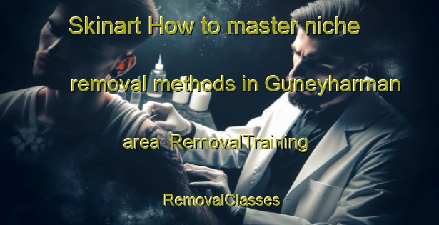 Skinart How to master niche removal methods in Guneyharman area | RemovalTraining | RemovalClasses | SkinartTraining-Turkey