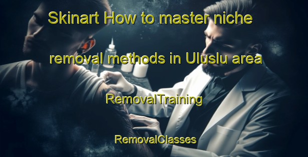 Skinart How to master niche removal methods in Uluslu area | RemovalTraining | RemovalClasses | SkinartTraining-Turkey