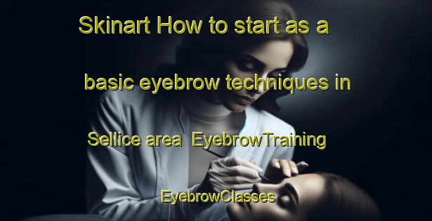 Skinart How to start as a basic eyebrow techniques in Sellice area | EyebrowTraining | EyebrowClasses | SkinartTraining-Turkey