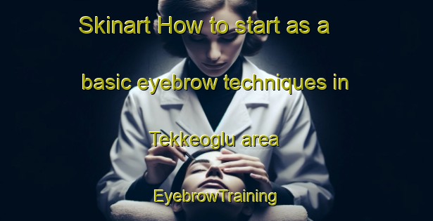 Skinart How to start as a basic eyebrow techniques in Tekkeoglu area | EyebrowTraining | EyebrowClasses | SkinartTraining-Turkey