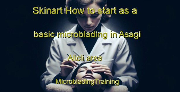 Skinart How to start as a basic microblading in Asagi Alicli area | MicrobladingTraining | MicrobladingClasses | SkinartTraining-Turkey