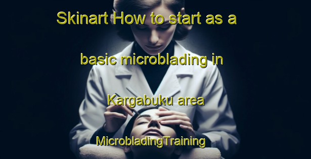 Skinart How to start as a basic microblading in Kargabuku area | MicrobladingTraining | MicrobladingClasses | SkinartTraining-Turkey