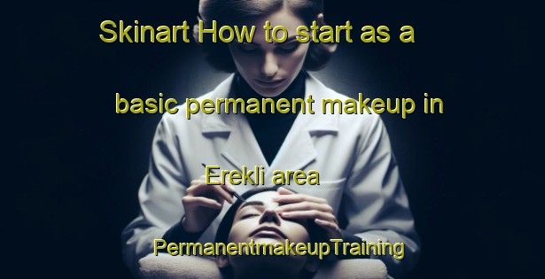 Skinart How to start as a basic permanent makeup in Erekli area | PermanentmakeupTraining | PermanentmakeupClasses | SkinartTraining-Turkey