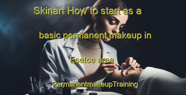 Skinart How to start as a basic permanent makeup in Esetce area | PermanentmakeupTraining | PermanentmakeupClasses | SkinartTraining-Turkey