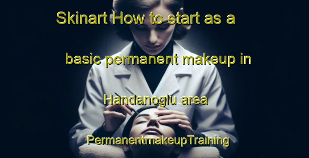 Skinart How to start as a basic permanent makeup in Handanoglu area | PermanentmakeupTraining | PermanentmakeupClasses | SkinartTraining-Turkey
