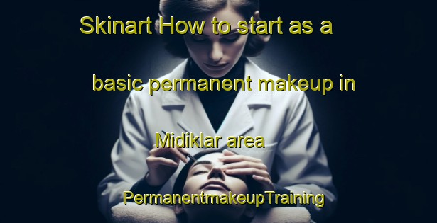 Skinart How to start as a basic permanent makeup in Midiklar area | PermanentmakeupTraining | PermanentmakeupClasses | SkinartTraining-Turkey
