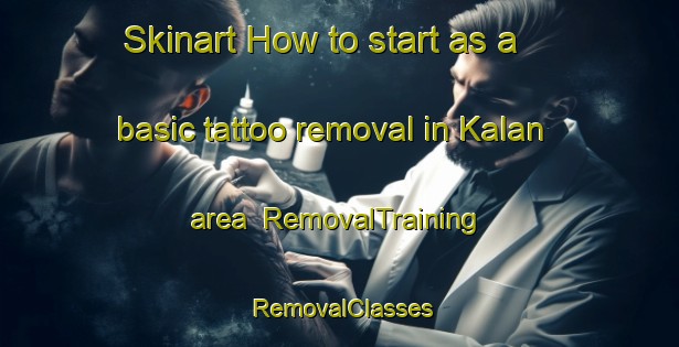 Skinart How to start as a basic tattoo removal in Kalan area | RemovalTraining | RemovalClasses | SkinartTraining-Turkey