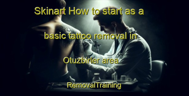 Skinart How to start as a basic tattoo removal in Otuzbirler area | RemovalTraining | RemovalClasses | SkinartTraining-Turkey