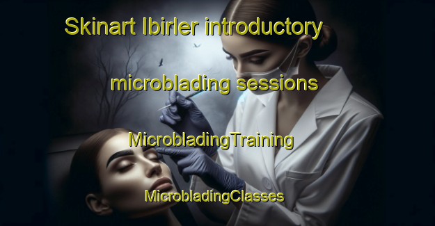 Skinart Ibirler introductory microblading sessions | MicrobladingTraining | MicrobladingClasses | SkinartTraining-Turkey
