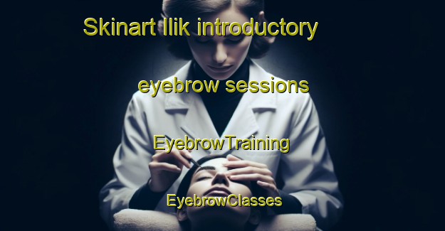 Skinart Ilik introductory eyebrow sessions | EyebrowTraining | EyebrowClasses | SkinartTraining-Turkey