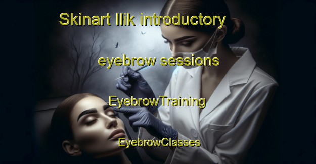Skinart Ilik introductory eyebrow sessions | EyebrowTraining | EyebrowClasses | SkinartTraining-Turkey
