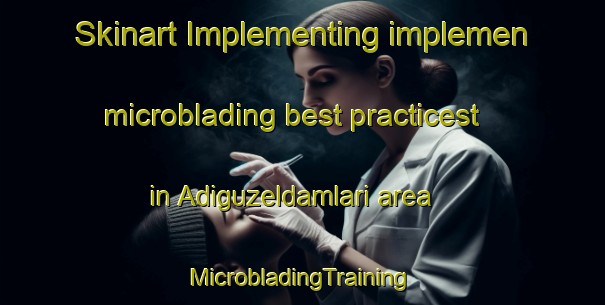 Skinart Implementing implemen microblading best practicest in Adiguzeldamlari area | #MicrobladingTraining #MicrobladingClasses #SkinartTraining-Turkey