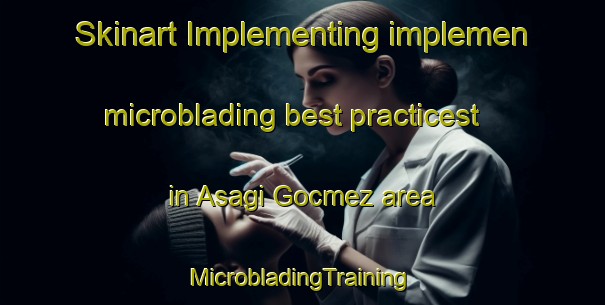 Skinart Implementing implemen microblading best practicest in Asagi Gocmez area | #MicrobladingTraining #MicrobladingClasses #SkinartTraining-Turkey