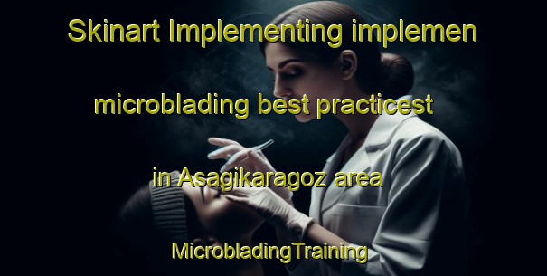 Skinart Implementing implemen microblading best practicest in Asagikaragoz area | #MicrobladingTraining #MicrobladingClasses #SkinartTraining-Turkey