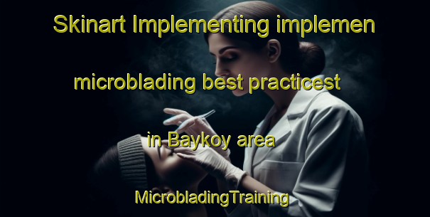 Skinart Implementing implemen microblading best practicest in Baykoy area | #MicrobladingTraining #MicrobladingClasses #SkinartTraining-Turkey