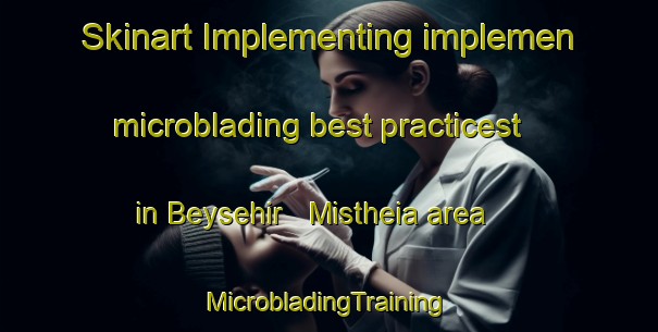 Skinart Implementing implemen microblading best practicest in Beysehir   Mistheia area | #MicrobladingTraining #MicrobladingClasses #SkinartTraining-Turkey