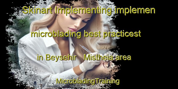 Skinart Implementing implemen microblading best practicest in Beysehir   Mistheia area | #MicrobladingTraining #MicrobladingClasses #SkinartTraining-Turkey