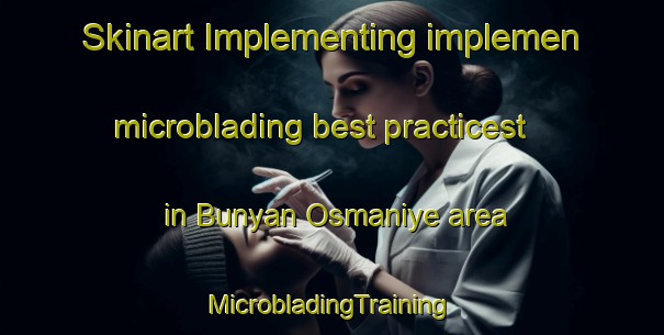 Skinart Implementing implemen microblading best practicest in Bunyan Osmaniye area | #MicrobladingTraining #MicrobladingClasses #SkinartTraining-Turkey