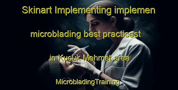 Skinart Implementing implemen microblading best practicest in Kucuk Mehmet area | #MicrobladingTraining #MicrobladingClasses #SkinartTraining-Turkey