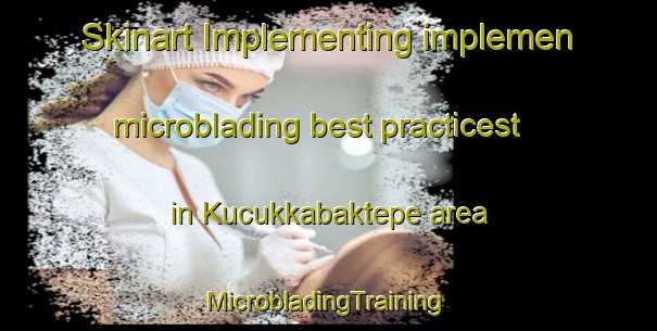 Skinart Implementing implemen microblading best practicest in Kucukkabaktepe area | #MicrobladingTraining #MicrobladingClasses #SkinartTraining-Turkey