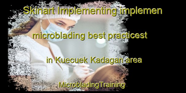 Skinart Implementing implemen microblading best practicest in Kuecuek Kadagan area | #MicrobladingTraining #MicrobladingClasses #SkinartTraining-Turkey